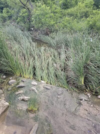 Bowman Branch Linear Trail Entrance - Arlington, TX