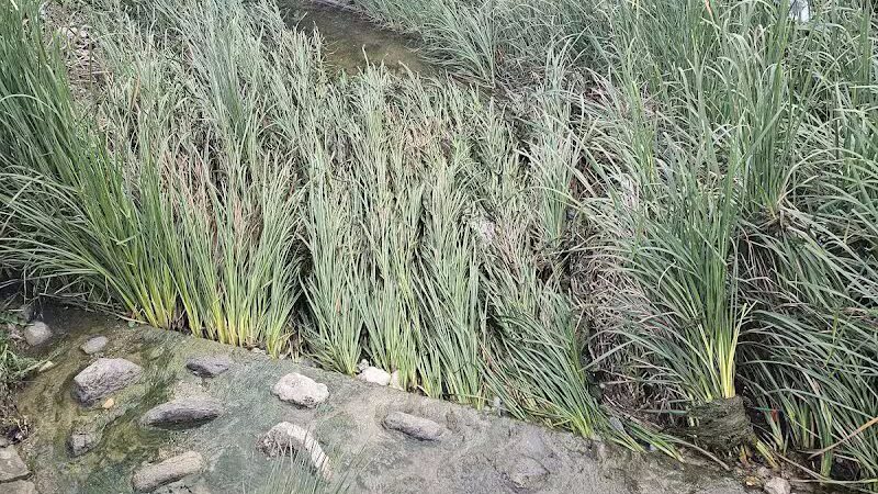 Bowman Branch Linear Trail Entrance - Arlington, TX
