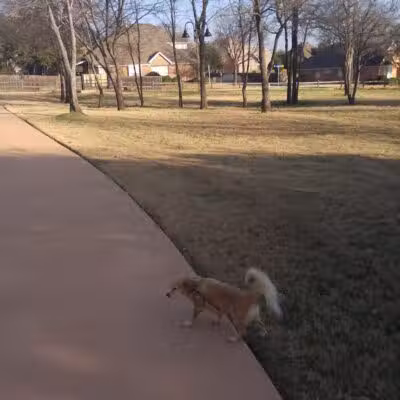 Dixon W. Holman Park - Arlington, TX