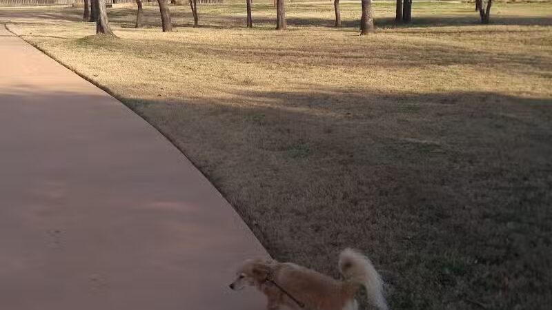 Dixon W. Holman Park - Arlington, TX