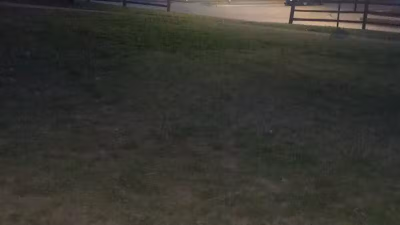 Dixon W. Holman Park - Arlington, TX