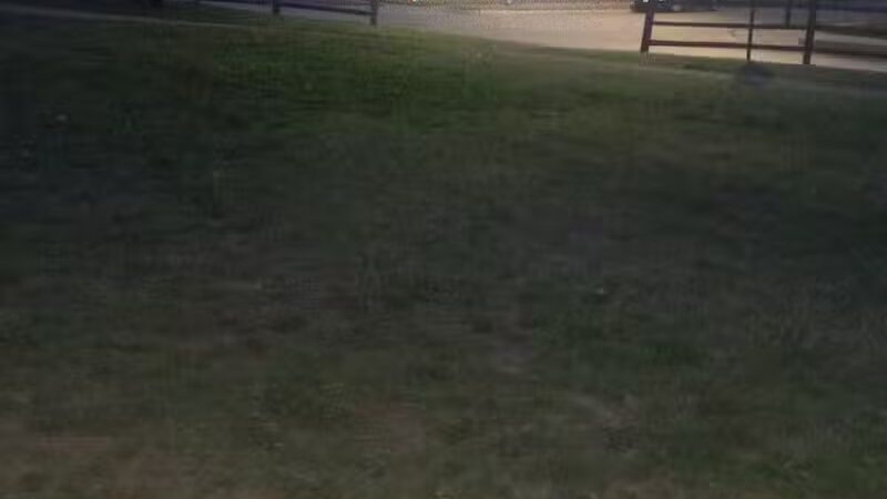 Dixon W. Holman Park - Arlington, TX