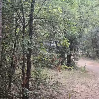 Dixon W. Holman Park - Arlington, TX