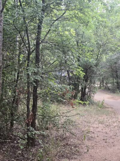 Dixon W. Holman Park - Arlington, TX