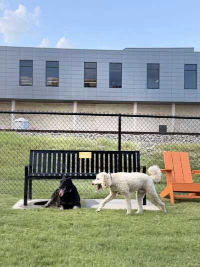 Downtown Arlington Doggie Depot - Arlington, TX