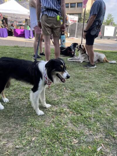 Gene Allen Park - Arlington, TX