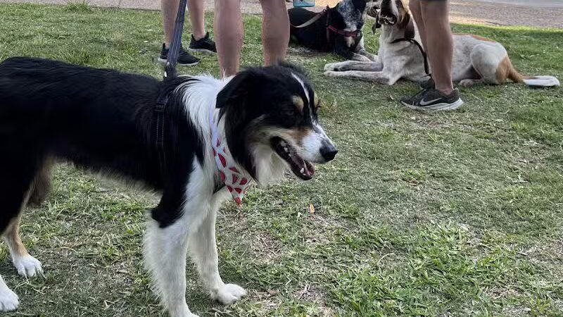 Gene Allen Park - Arlington, TX