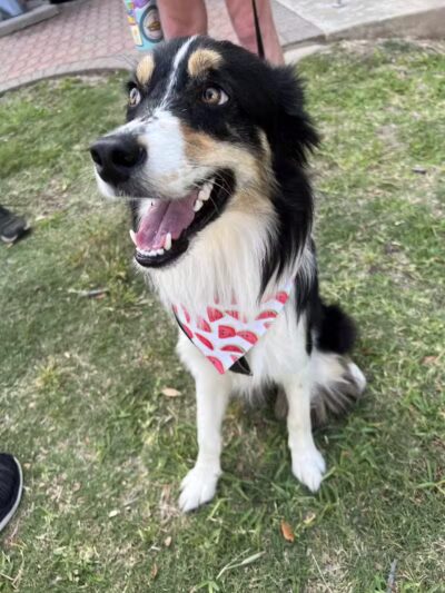 Gene Allen Park - Arlington, TX