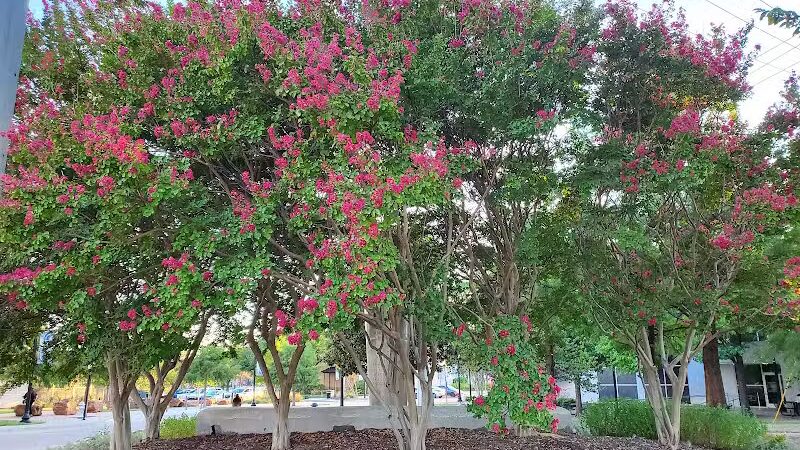 Gene Allen Park - Arlington, TX