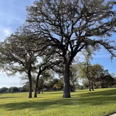 High Oak Park - Arlington, TX