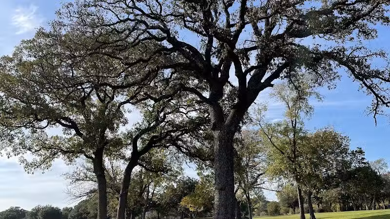 High Oak Park - Arlington, TX