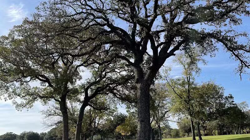 High Oak Park - Arlington, TX