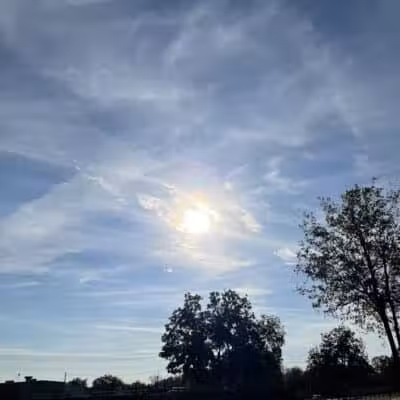 High Oak Park - Arlington, TX