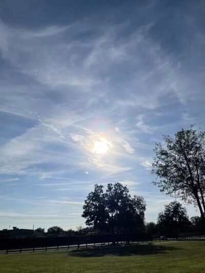 High Oak Park - Arlington, TX