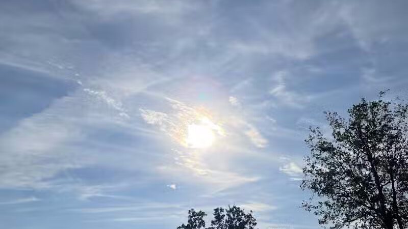 High Oak Park - Arlington, TX