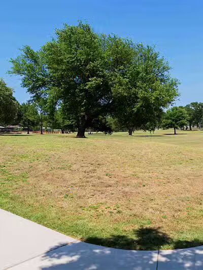 High Oak Park - Arlington, TX