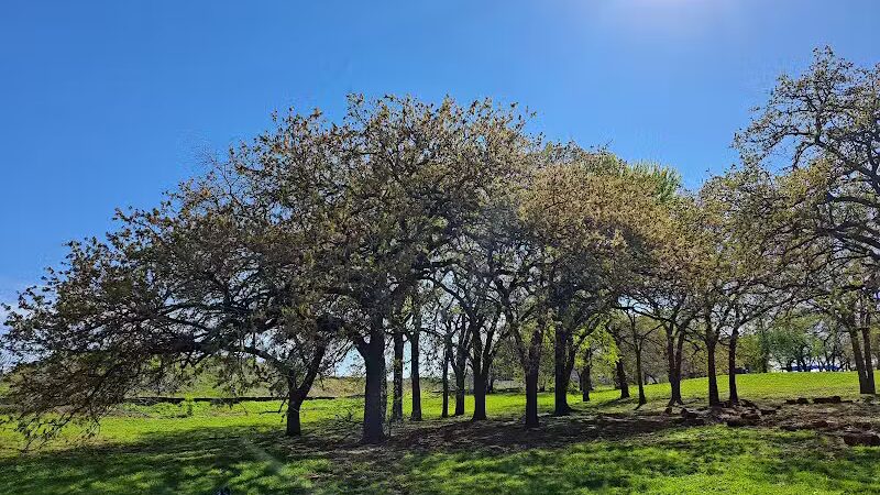 Parkway Central Park - Arlington, TX