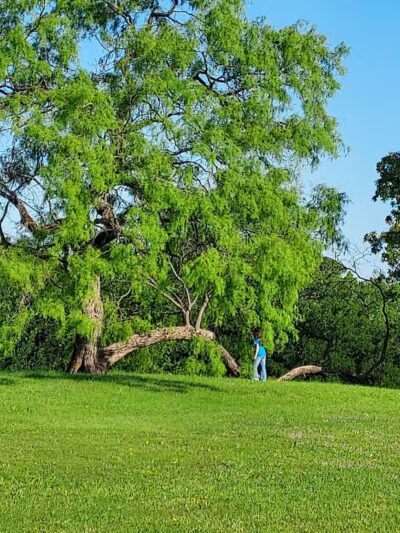 Parkway Central Park - Arlington, TX