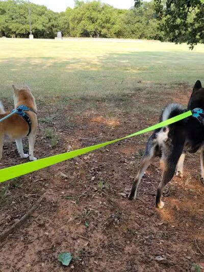 Parkway Central Park - Arlington, TX