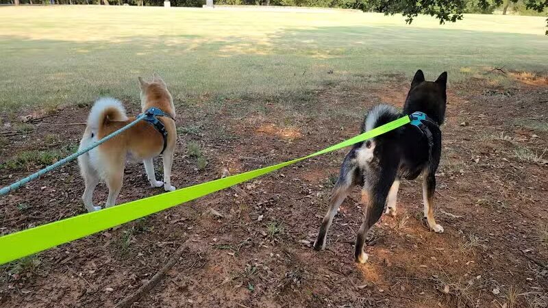 Parkway Central Park - Arlington, TX