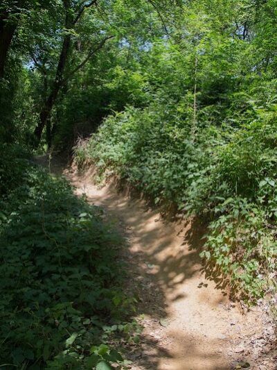 River Legacy Parks - Arlington, TX