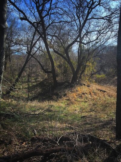 River Legacy Parks East - Arlington, TX