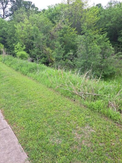 River Legacy Parks East - Arlington, TX