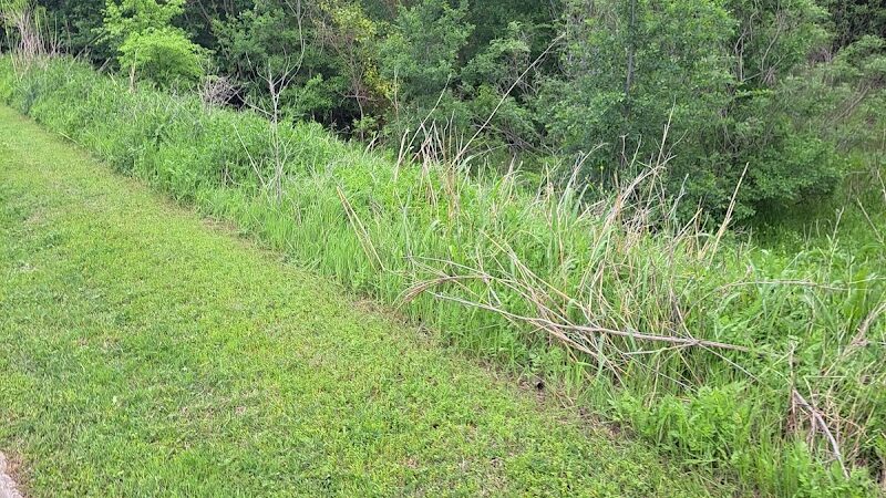 River Legacy Parks East - Arlington, TX