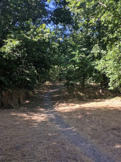 River Legacy Parks South Entrance - Arlington, TX