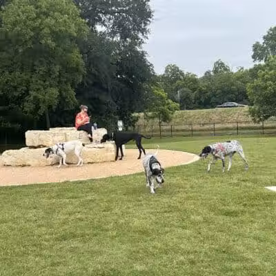Rush Creek Dog Park #1 - Arlington, TX