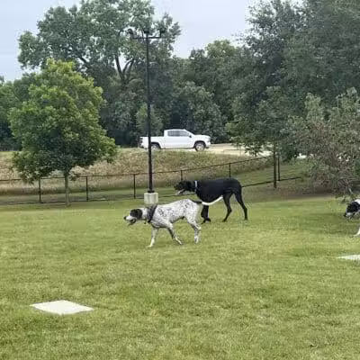 Rush Creek Dog Park #1 - Arlington, TX