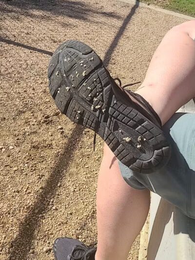 Rush Creek Dog Park #1 - Arlington, TX