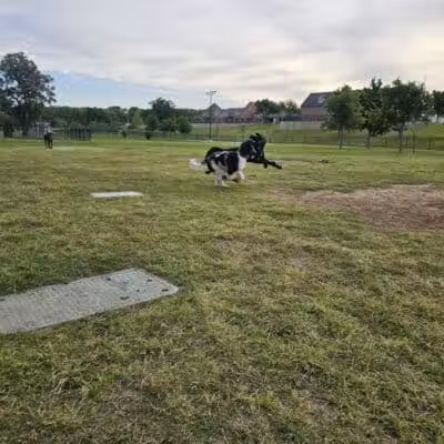 Rush Creek Dog Park #2 - Arlington, TX