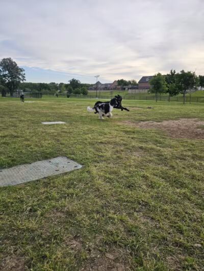 Rush Creek Dog Park #2 - Arlington, TX