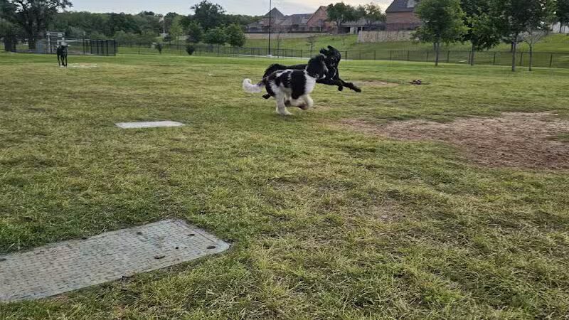 Rush Creek Dog Park #2 - Arlington, TX