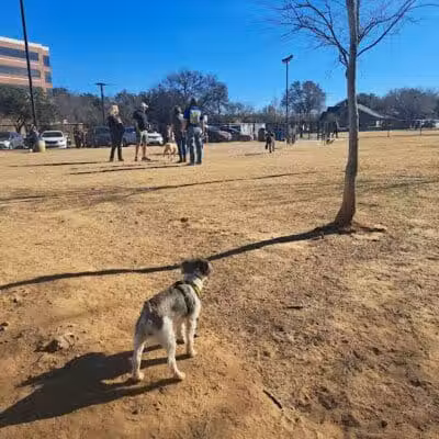 Rush Creek Dog Park #2 - Arlington, TX