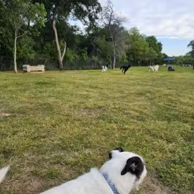 Rush Creek Dog Park #2 - Arlington, TX