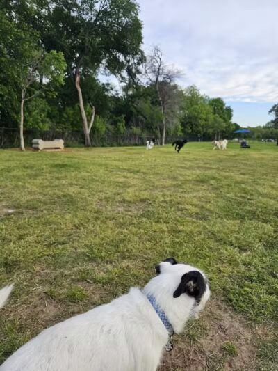 Rush Creek Dog Park #2 - Arlington, TX
