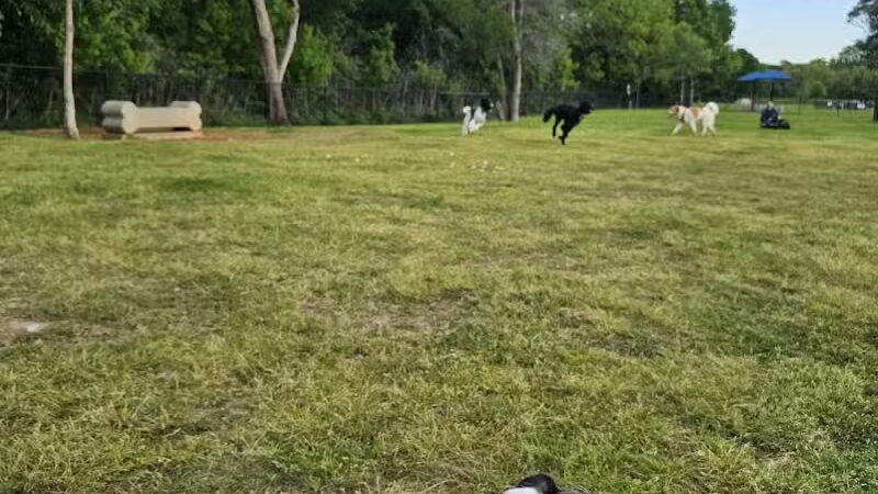 Rush Creek Dog Park #2 - Arlington, TX