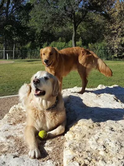 Rush Creek Dog Park #2 - Arlington, TX