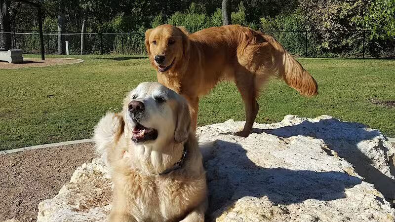 Rush Creek Dog Park #2 - Arlington, TX