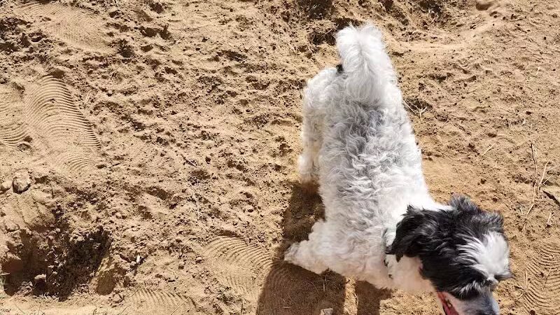 Rush Creek Dog Park #2 - Arlington, TX