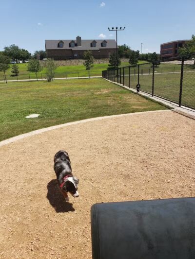 Rush Creek Dog Park #2 - Arlington, TX