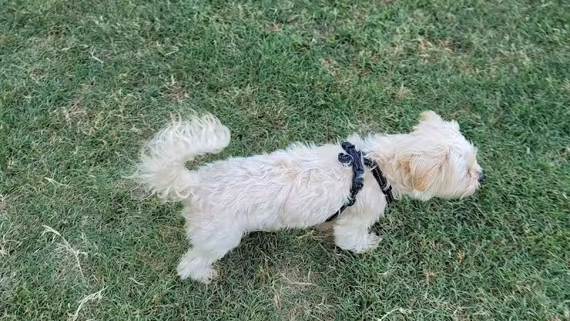 Rush Creek Dog Park #2 - Arlington, TX