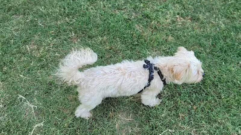 Rush Creek Dog Park #2 - Arlington, TX