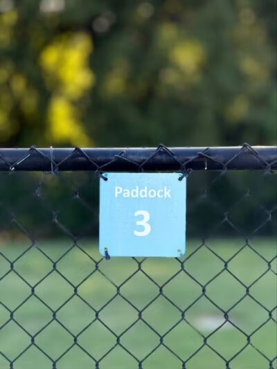 Rush Creek Dog Park #3 - Arlington, TX