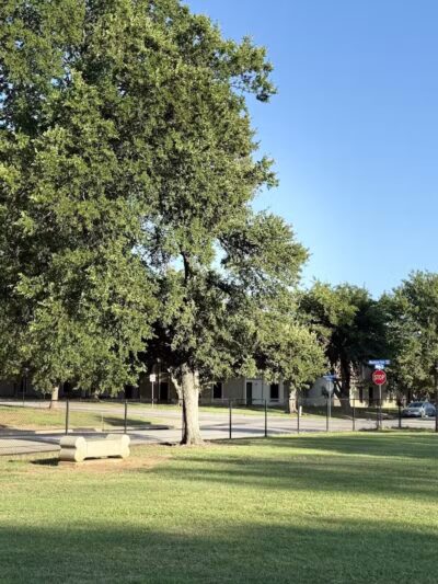 Rush Creek Dog Park #4 - Arlington, TX