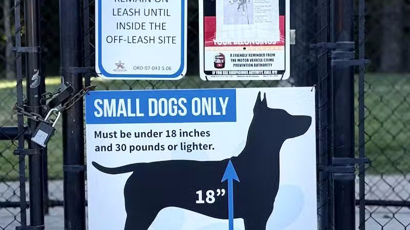 Rush Creek Dog Park #4 - Arlington, TX