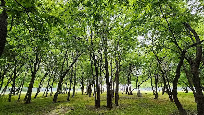 Tails 'N Trails Dog Park - Arlington, TX