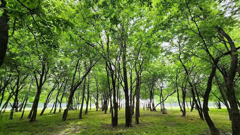 Tails 'N Trails Dog Park - Arlington, TX